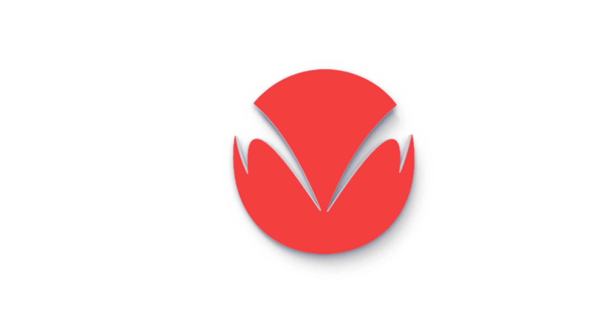 MMT Logo